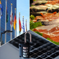 United nations, fish market, and a computer lock representing the 2019-2021 common reading theme of global stability, scarcity, and security.